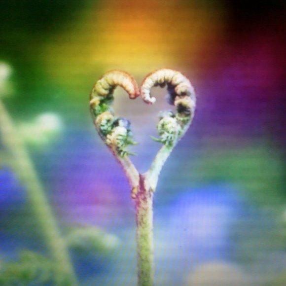 Meet your Posher, Jayma - Picture 3 of 16